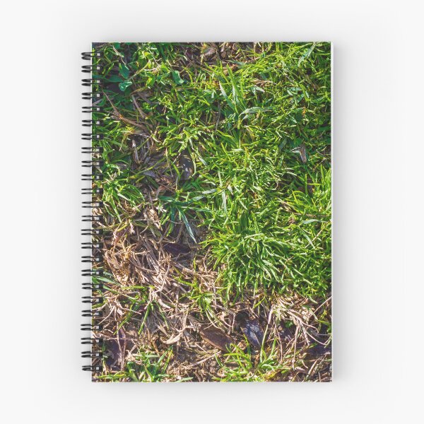 Item preview, Lush Green Grass With Brown Dry Patches On An Outdoor Lawn Surface designed and sold by Nmallia.