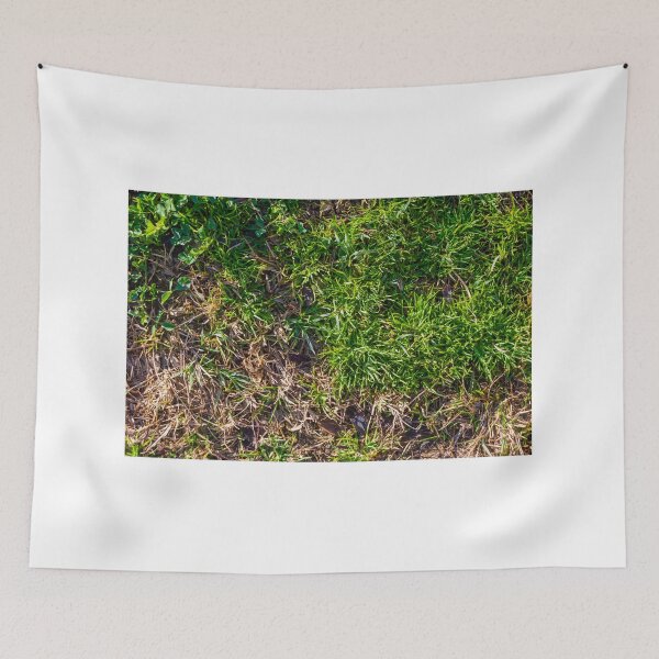 Item preview, Lush Green Grass With Brown Dry Patches On An Outdoor Lawn Surface designed and sold by Nmallia.