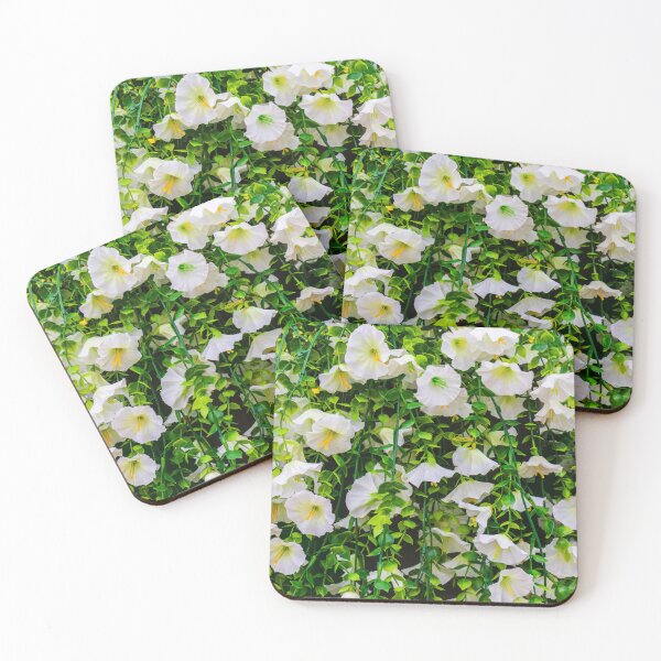 Item preview, White Morning Glory Flowers in Green Vines Cascading Over a Lush Garden Fence designed and sold by Nmallia.