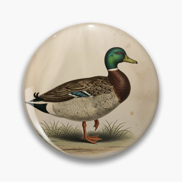 Item preview, Vintage Mallard Duck - Vintage Bird Illustration from 19th Century Atlas Print designed and sold by Jeeklsdotcom.
