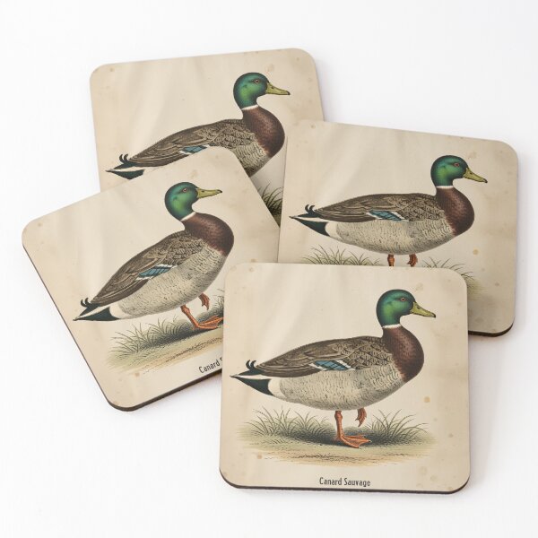 Item preview, Vintage Mallard Duck - Vintage Bird Illustration from 19th Century Atlas Print designed and sold by Jeeklsdotcom.