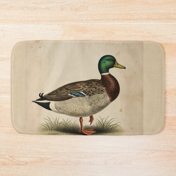 Item preview, Vintage Mallard Duck - Vintage Bird Illustration from 19th Century Atlas Print designed and sold by Jeeklsdotcom.