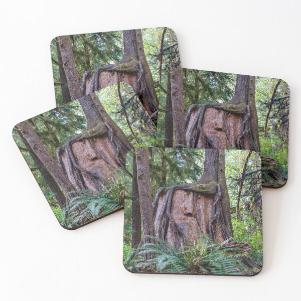 Item preview, Square Roots designed and sold by TinyDinoDesigns.