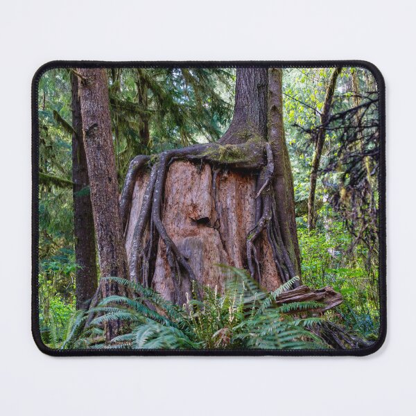 Item preview, Square Roots designed and sold by TinyDinoDesigns.