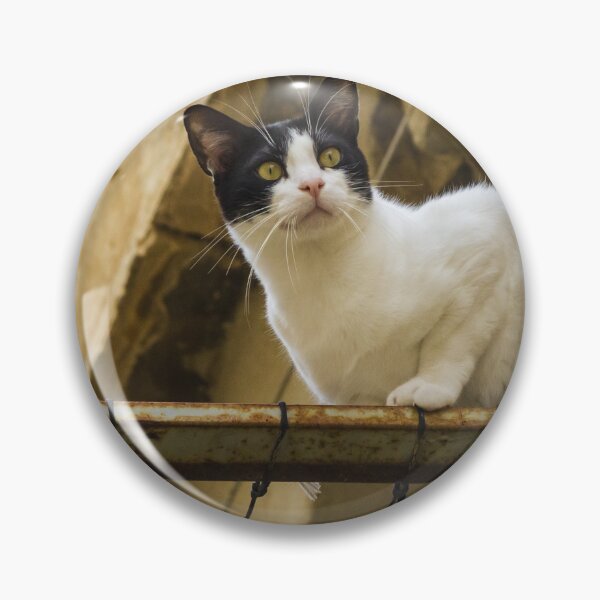 Item preview, Curious Black and White Cat Perched on a Rusty Balcony Rail Outdoors Watching the Surroundings designed and sold by Nmallia.