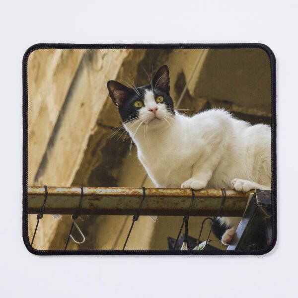 Item preview, Curious Black and White Cat Perched on a Rusty Balcony Rail Outdoors Watching the Surroundings designed and sold by Nmallia.