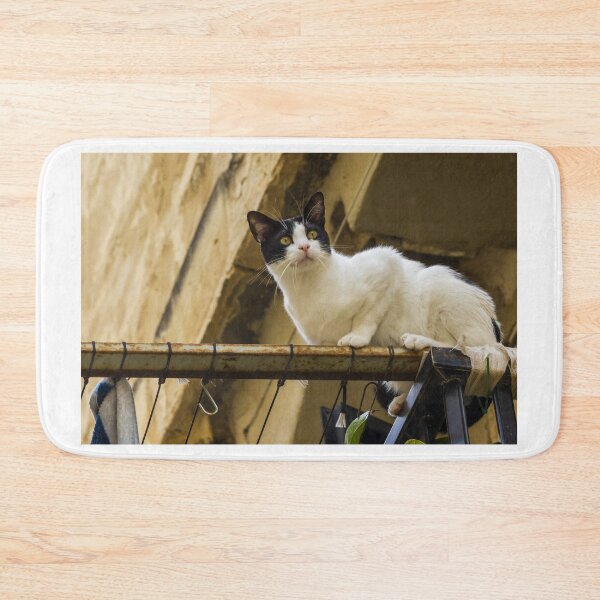 Item preview, Curious Black and White Cat Perched on a Rusty Balcony Rail Outdoors Watching the Surroundings designed and sold by Nmallia.