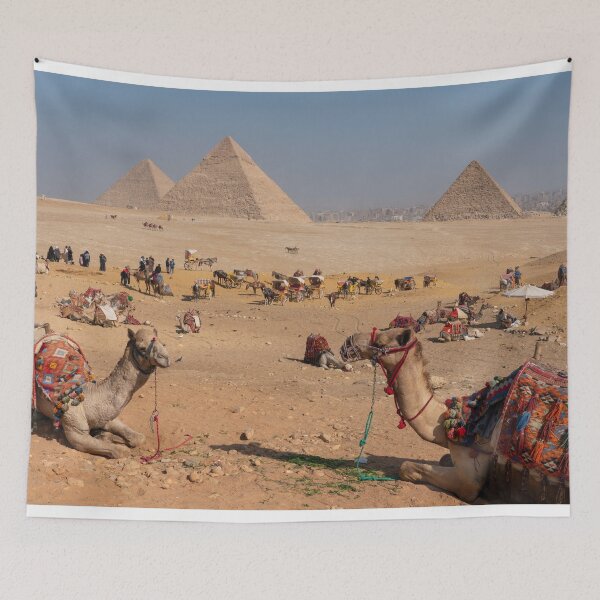 Item preview, Camels of the Pyramids designed and sold by hawkie.