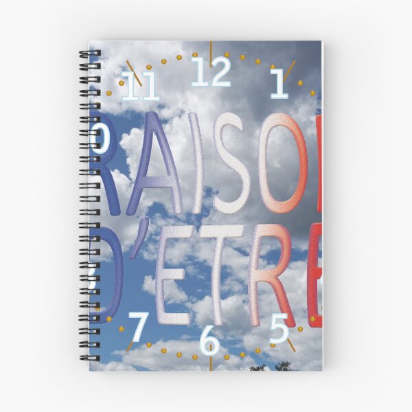 Item preview, “REASON FOR BEING” – French typography in blue, white, and red (HRS) designed and sold by Alan-David.