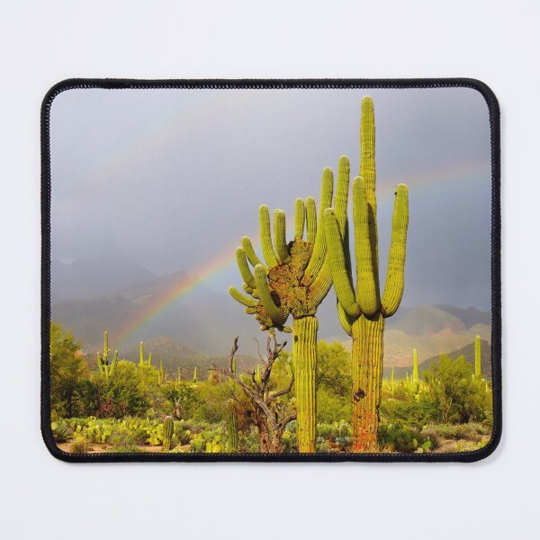 Item preview, Rainbow Crested Saguaro Cactus designed and sold by simonjayphotos.