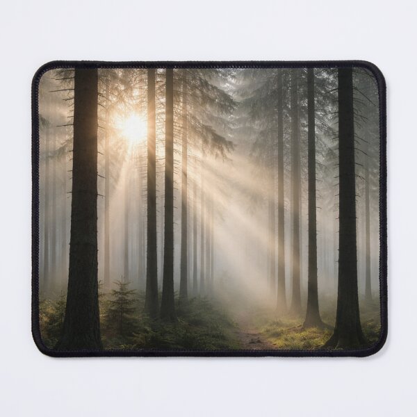 Item preview, Sunlit path through morning forest designed and sold by JuViRo.