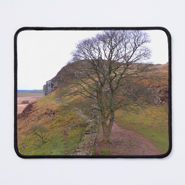Item preview, Sycamore Gap,  Northumberland  designed and sold by LouiseAnita.