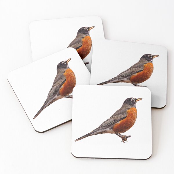 Item preview, American Robin designed and sold by Dalyndigital Photography.