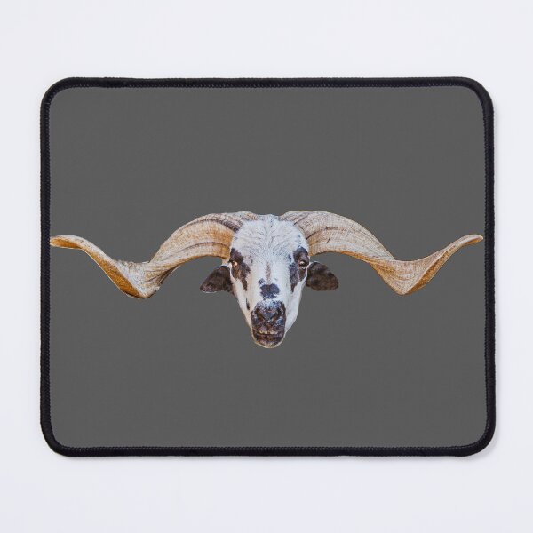 Item preview,  Algarvian churro Ram designed and sold by Dalyndigital Photography.