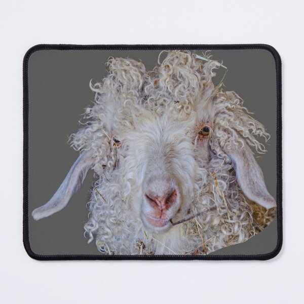Item preview, algarvian churra sheep with a bad hair day designed and sold by Dalyndigital Photography.
