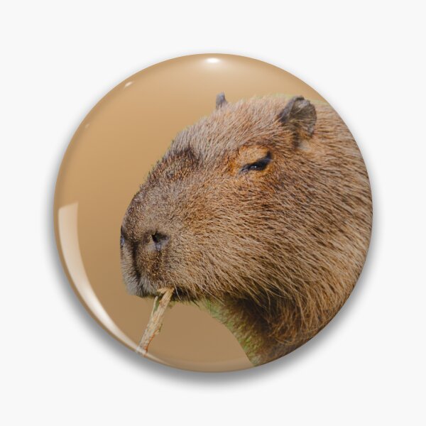 Item preview, Capy-stick designed and sold by Dalyndigital Photography.
