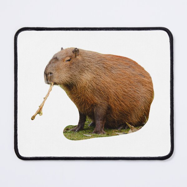 Item preview, Capy-stick designed and sold by Dalyndigital Photography.