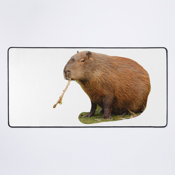 Item preview, Capy-stick designed and sold by Dalyndigital Photography.