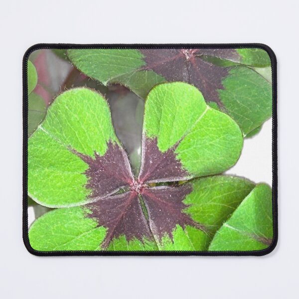 Item preview, 4 Leaf Clover designed and sold by Colorsoflove613.