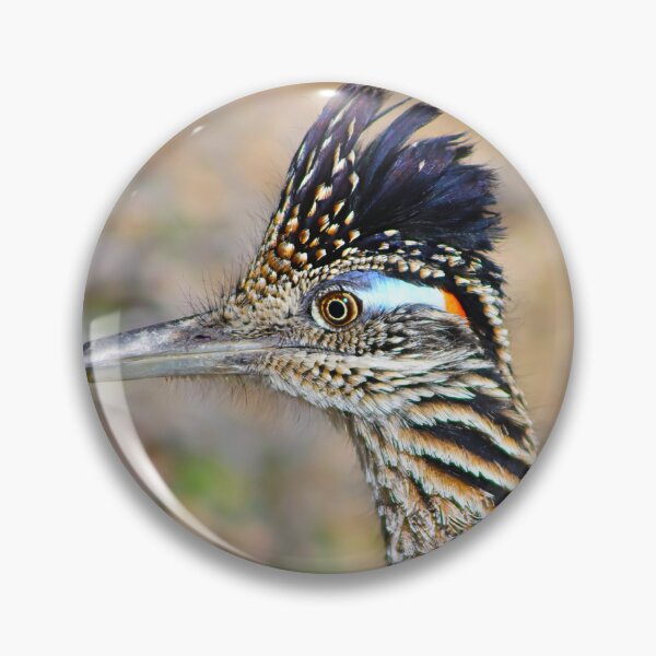 Item preview, Roadrunner Hairdo designed and sold by simonjayphotos.