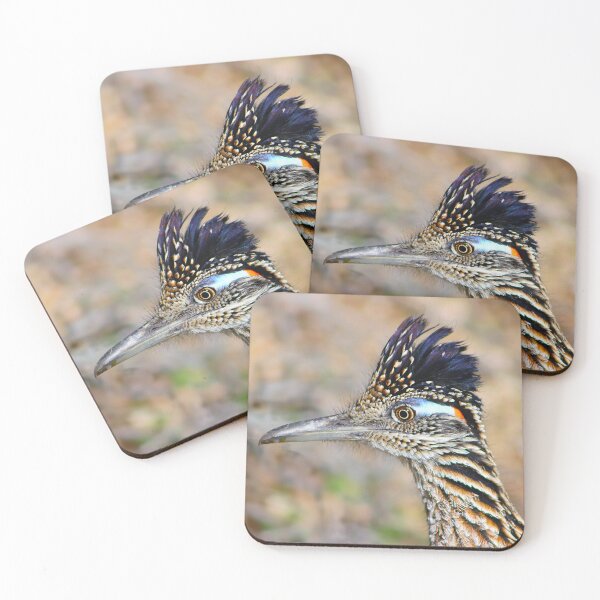 Item preview, Roadrunner Hairdo designed and sold by simonjayphotos.