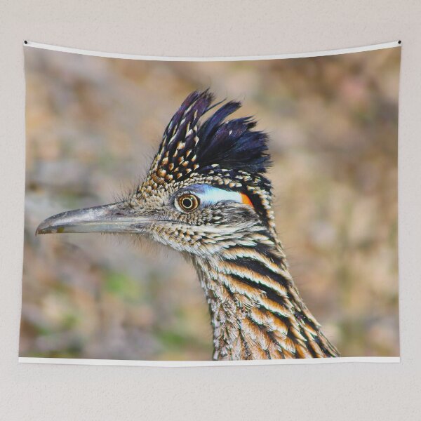 Item preview, Roadrunner Hairdo designed and sold by simonjayphotos.