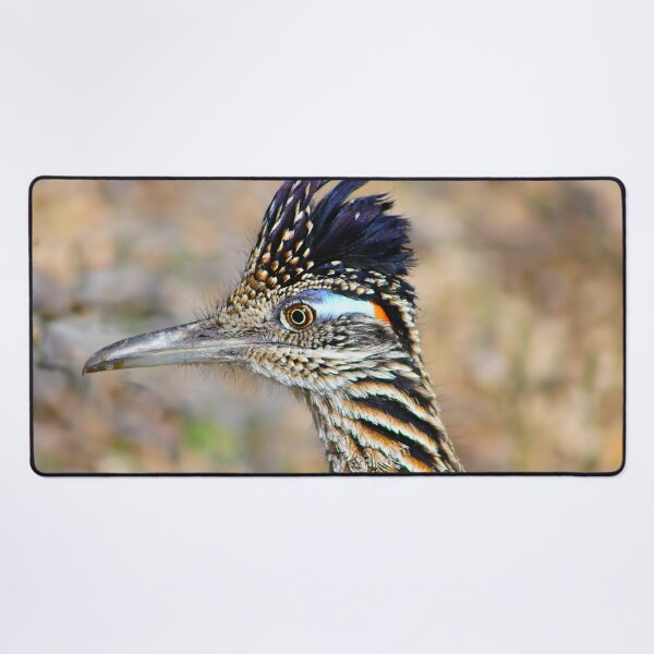 Item preview, Roadrunner Hairdo designed and sold by simonjayphotos.