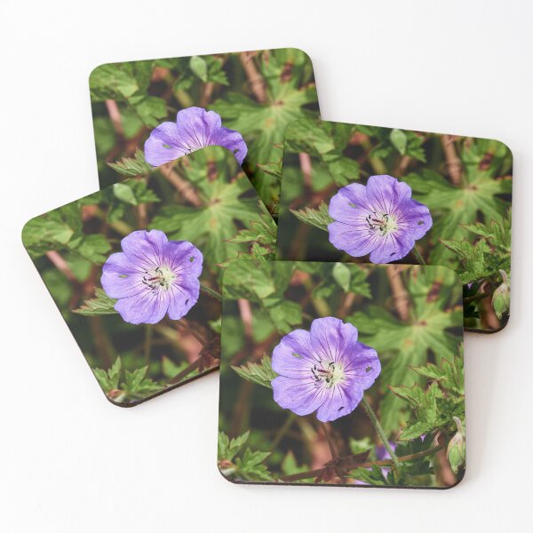 Item preview, Geranium Basking designed and sold by Eidetic Photos.