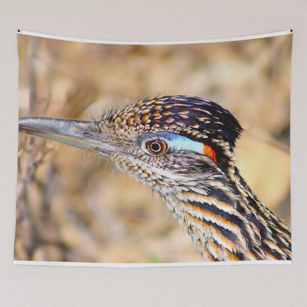 Item preview, Stunning Roadrunner designed and sold by simonjayphotos.