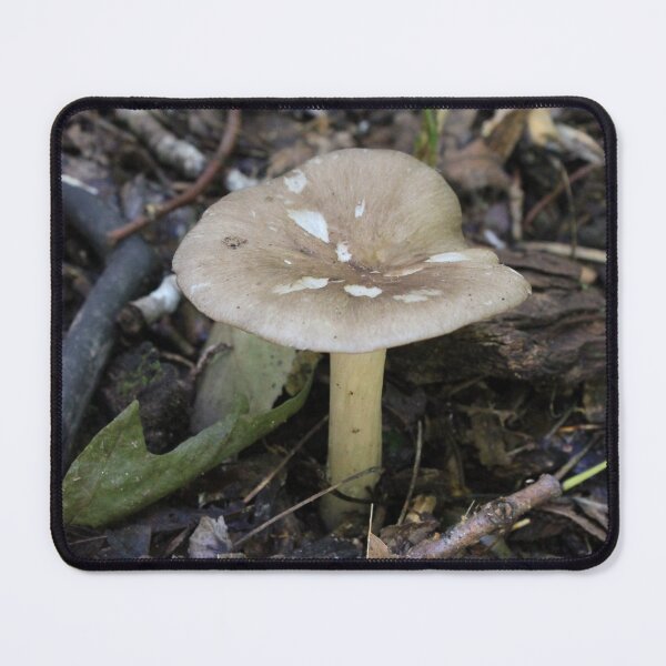 Item preview, Forest Floor Fungi - Moody Woodland Mushroom Photography designed and sold by Blossom-Breeze.