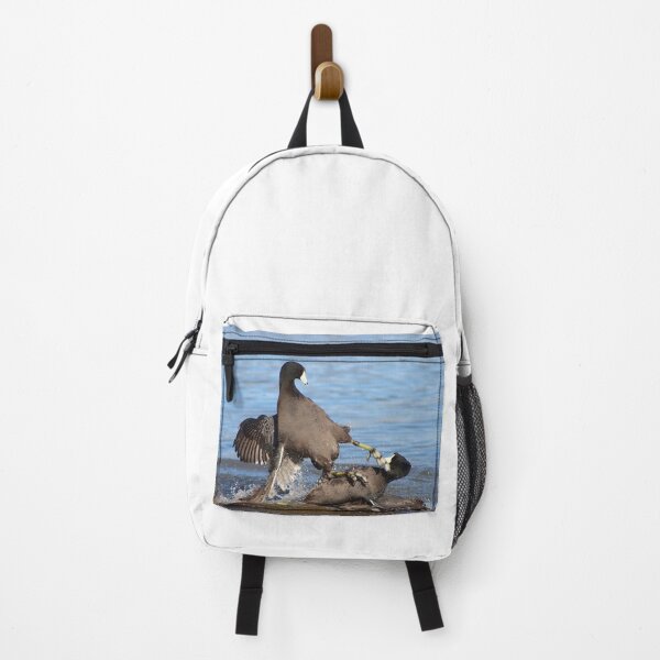 Item preview, Karate Kick Coot Bird designed and sold by simonjayphotos.