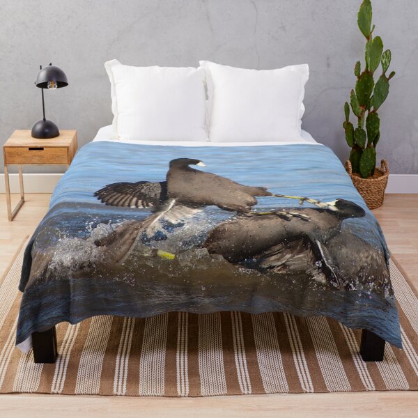 Item preview, Karate Kick Coot Bird designed and sold by simonjayphotos.