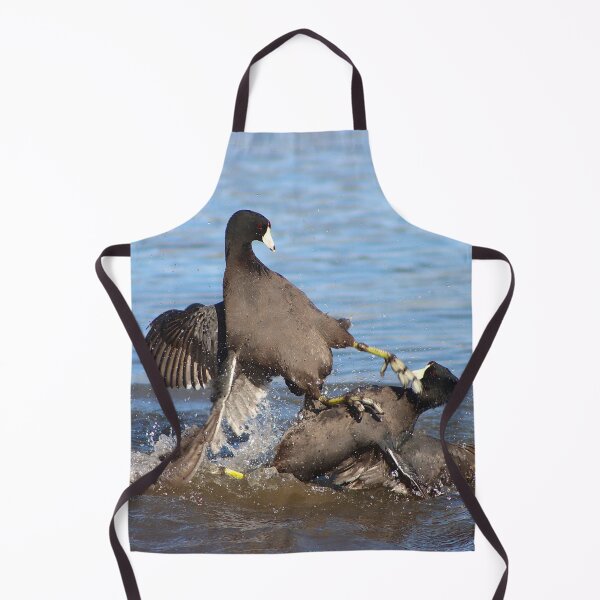 Item preview, Karate Kick Coot Bird designed and sold by simonjayphotos.
