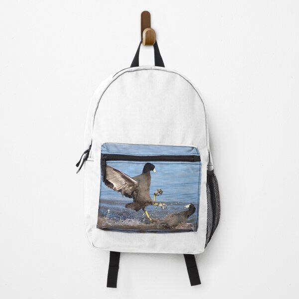 Item preview, Karate Coot Bird Kicking designed and sold by simonjayphotos.