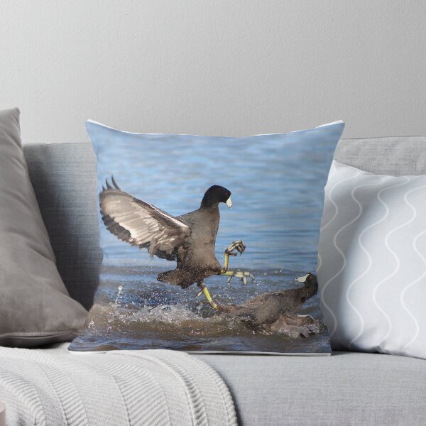 Item preview, Karate Coot Bird Kicking designed and sold by simonjayphotos.