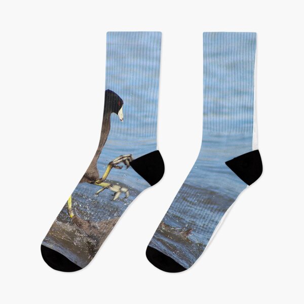 Item preview, Karate Coot Bird Kicking designed and sold by simonjayphotos.