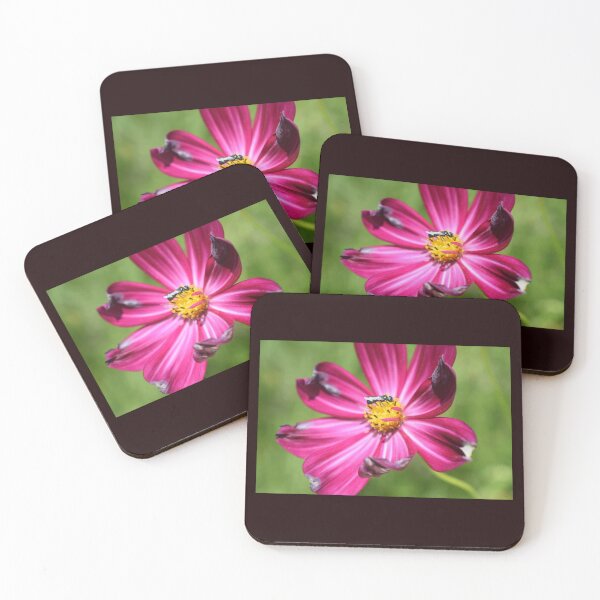 Item preview, Visiting designed and sold by PaintedPuffins.