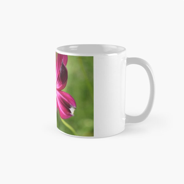 Item preview, Visiting designed and sold by PaintedPuffins.