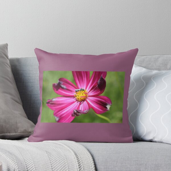 Item preview, Visiting designed and sold by PaintedPuffins.