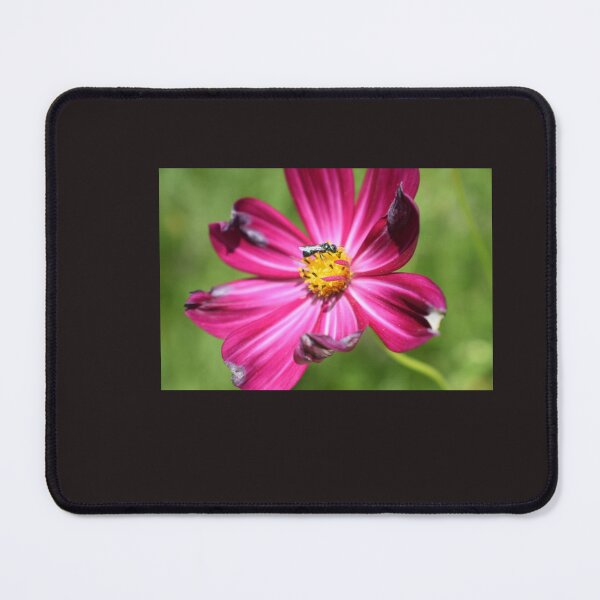 Item preview, Visiting designed and sold by PaintedPuffins.