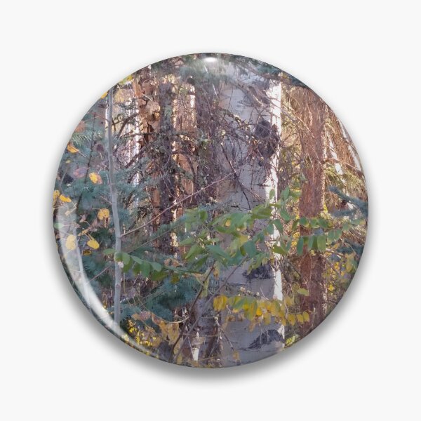 Item preview, Aspens and Pines in Northern Arizona designed and sold by Desert Views - Images by Jeff Mariotte.