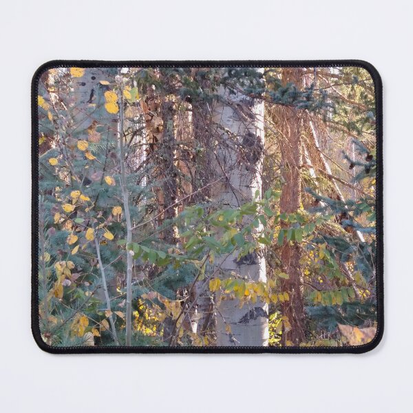 Item preview, Aspens and Pines in Northern Arizona designed and sold by Desert Views - Images by Jeff Mariotte.