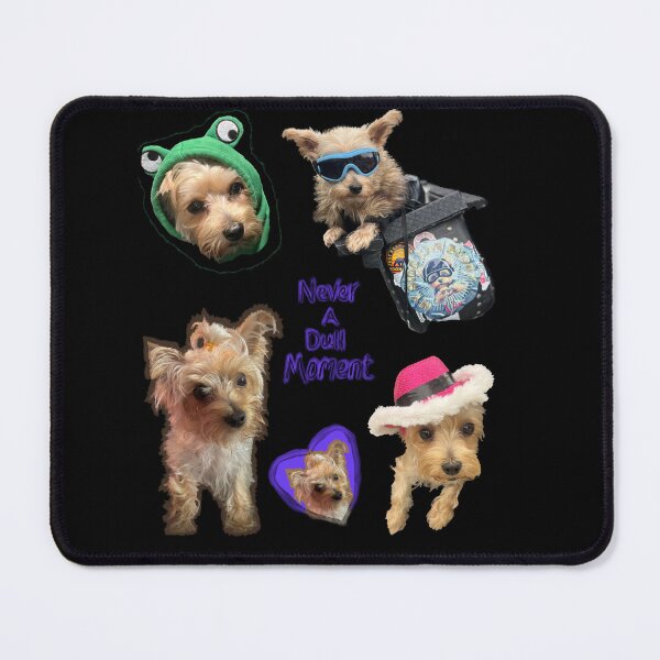 Item preview, Yorkie designed and sold by MoniJoy91.
