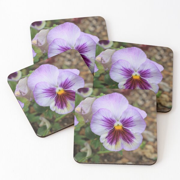 Item preview, Vibrant Purple and White Pansy Flower Photography designed and sold by Blossom-Breeze.