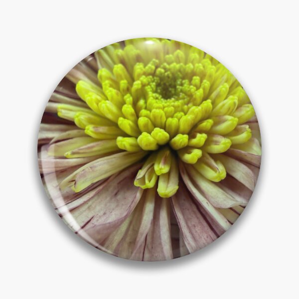 Item preview, Chrysanthemum Magic designed and sold by Betsy Phillips.
