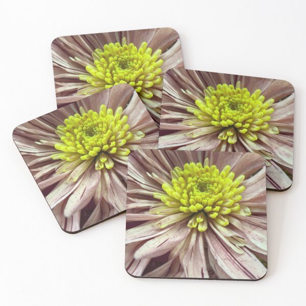Item preview, Chrysanthemum Magic designed and sold by Betsy Phillips.