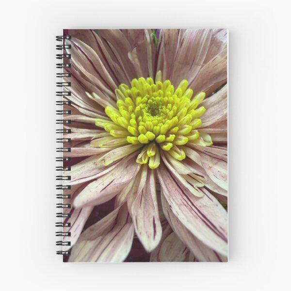 Item preview, Chrysanthemum Magic designed and sold by Betsy Phillips.