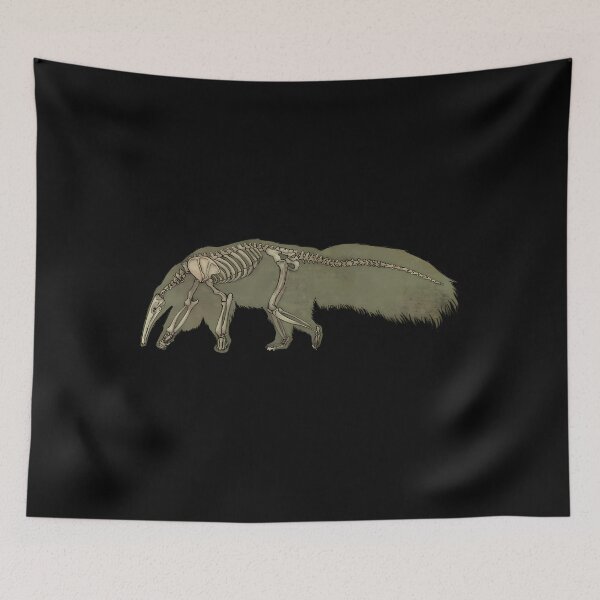 Item preview, Anteater Skeleton Anatomy Illustration designed and sold by liuiawgpn47.