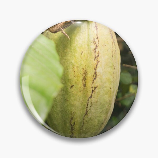 Item preview, cacao pod designed and sold by ROSE ANN BANILAR.