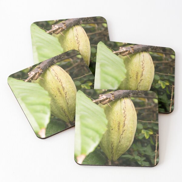 Item preview, cacao pod designed and sold by ROSE ANN BANILAR.